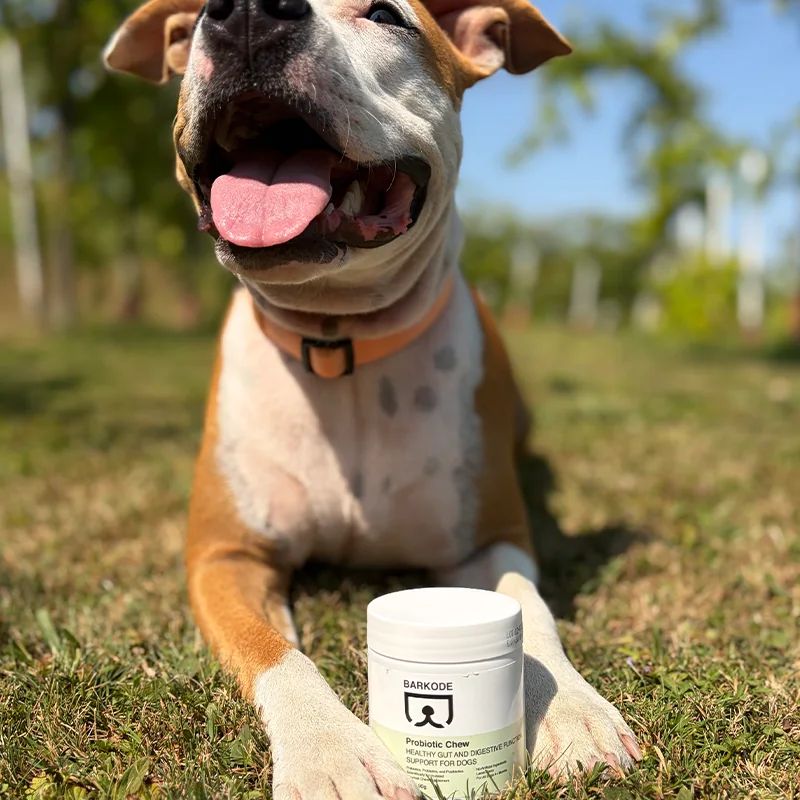 Perro feliz tumbado en la hierba detrás de un tarro de Probiotic Chew