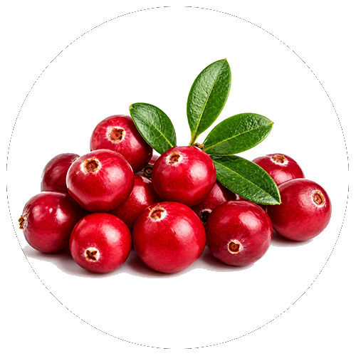 Zinc (quelato)