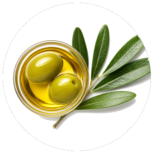 Ácidos grasos omega-3 y omega-6